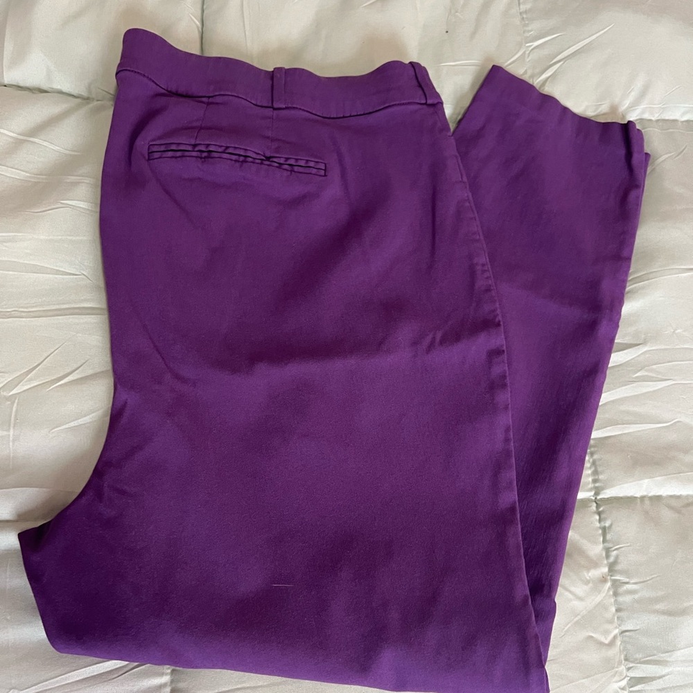 Lane Bryant Vibrant Purple Chinos